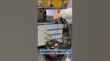 3DeVOK MT 3D Scanning Advancing Plant Morphology Research in 3D