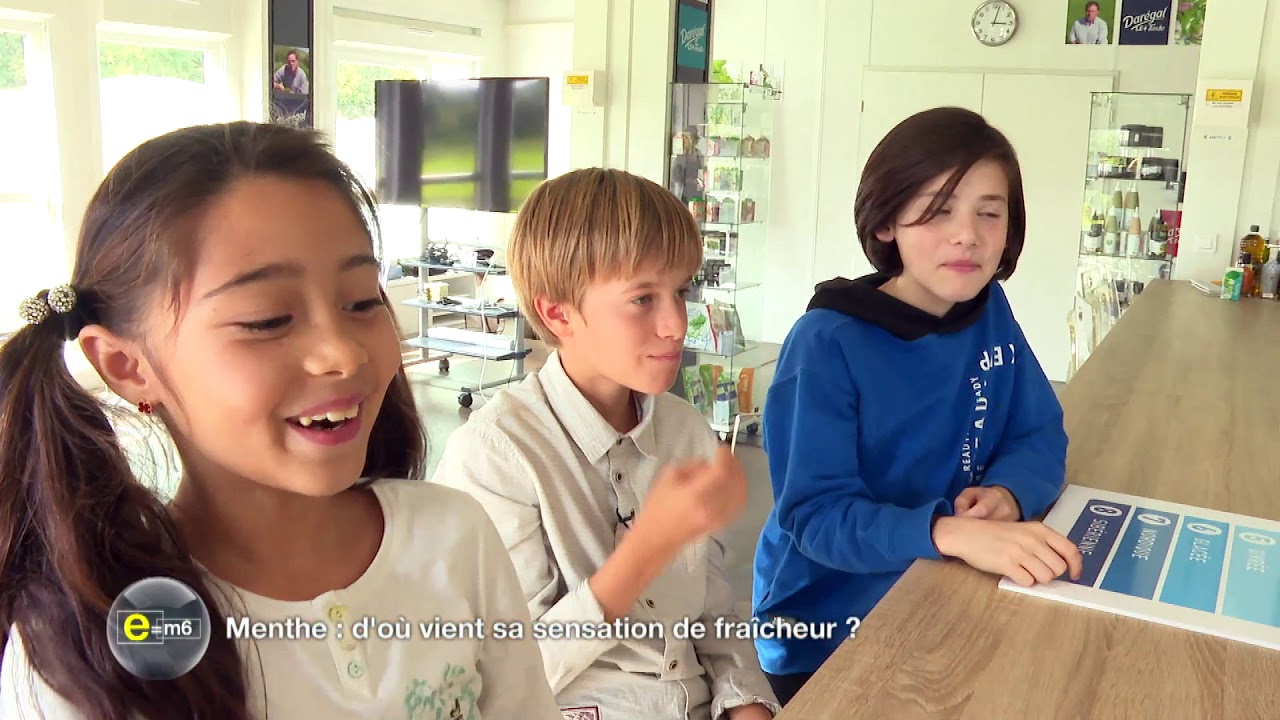 Pourquoi la menthe rafraîchit-elle ? Enquête exclusive par les équipes de e=m6