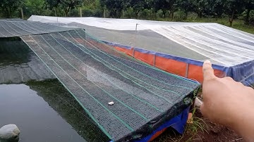 Cá mồi " biến mất" không rõ lý do tại sao? DT: 0789 025 541 - 0963 247 132 gặp Việt