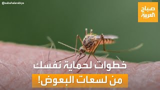 صباح العربية | وداعاً للبعوض.. خطوات فعالة لحماية نفسك من لسعاته المزعجة