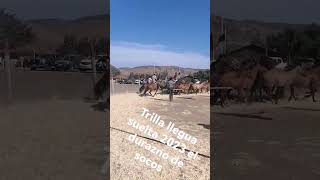 trilla a llegua suelta en él durazno de socos 2023