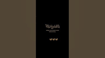 سورة فاطر / القارئ خالد الجليل / تلاوة خاشعة تريح سمعك