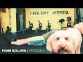 Foam Rolling Series - EPISODE 2