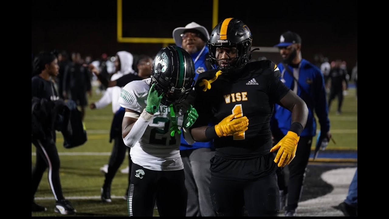 Wise vs Flowers 2023