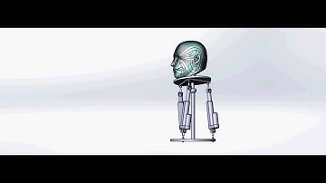 Robot Neck Mechanism
