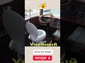 Когда экзамен реально жизненный #юмор #шуточное #comedy #прикол #jokes #анекдоты #смешновидео #смех
