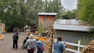 Vala's Pumpkin Patch