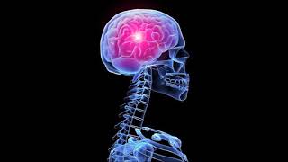 High-Frequency Gamma Waves  Brain Activator  Works For ADHD  Binaural Beats