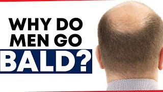 Why Men Go Bald As They Age The Shocking Science Explained