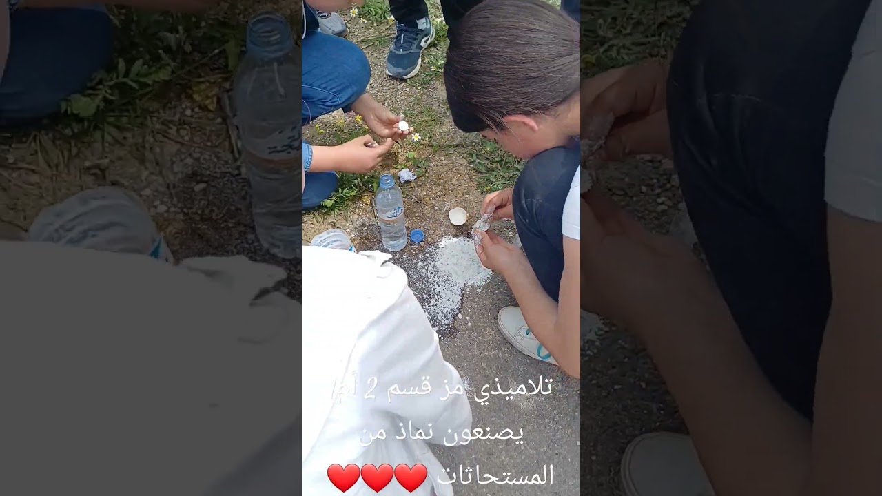 تلاميذي الأعزاء يصنعون نماذج عن المستحاثات 😍 للقسم 2 أم 1