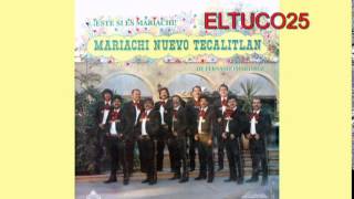 Miniatura de vídeo de "Mariachi Nuevo Tecalitlan de Fernando Martinez  Cruz De Olvido"