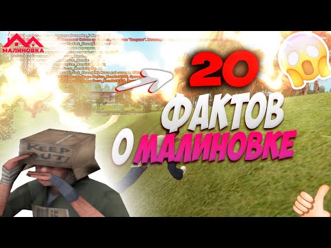 ТОП 20 ФАКТОВ О КОТОРЫХ ТЫ НЕ ЗНАЛ! МАЛИНОВКА РП | #malinovka