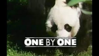 One By One - Series One - Episode Six- Time and Motion