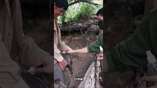 GainingTrustThroughVaccination by Big Cat Rescue 469 views 2 weeks ago 1 minute, 1 second