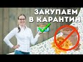 Белковые продукты. Продукты для иммунитета.