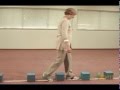 Balance Exercise - Falls and the elderly: Stepping Exercises