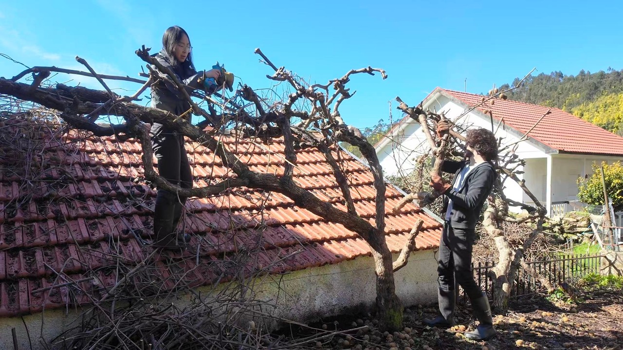 EP21 Прощайте, киви | Ведение фермерского хозяйства в Португалии