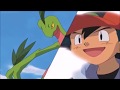 Ashs treecko and loudred evolve