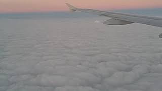 Celebrity Flying and Diving Through the Clouds Profile