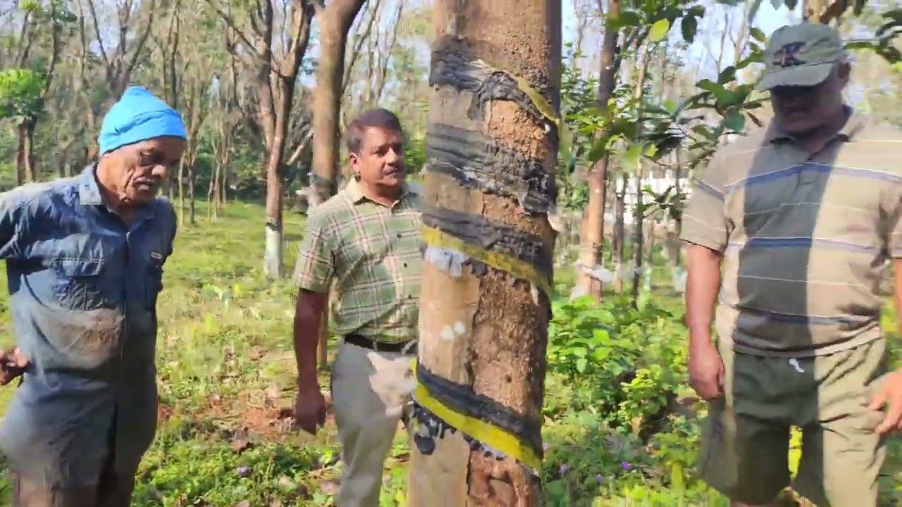 70വയസ്സ് കഴിഞ്ഞ 