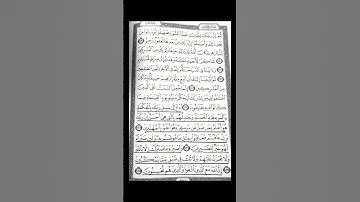 سورة النحل {آية ١٢٥-١٢٨} #ماهر_المعيقلي #سورة_النحل #قرآن #quran #اكسبلور #explore #youtube #yt