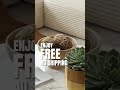 Loden Living Modular Sofa