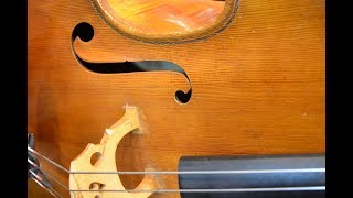 Orchester hautnah | 3D-Sound | 360°-Video