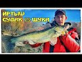 Рыбалка на Иртыше 2020  Судак и Щука на Джиг  Нашли трофейного судака  Щука на 11 кг