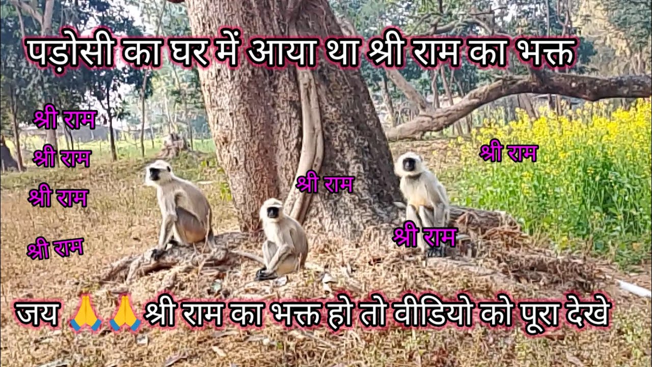 हनुमान घर में आया था।।वीडियो को लाइक कमेंट सब्सक्राइब करें 