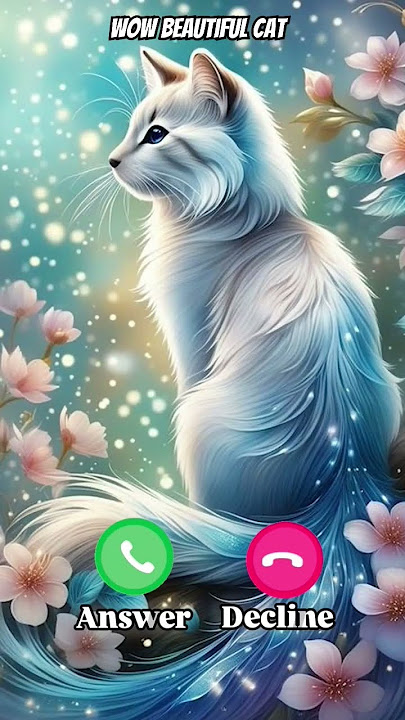 Wow beautiful cat #ringtone #nadaderingtelepon