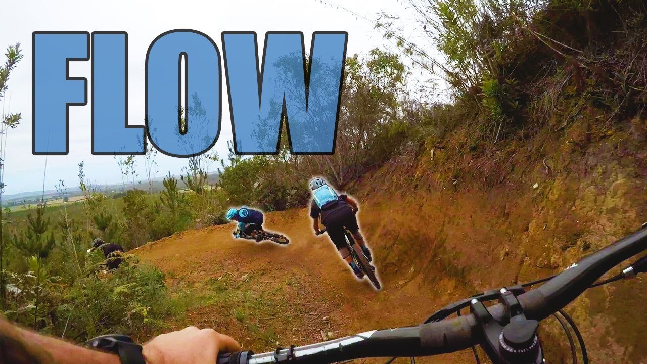 Rise of the Flow Trail | Garden Route Trail Park