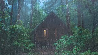 Relaxing Sound of Rain and Thunder to Sleep 🌧 22 hours watch the rain by Colección De Sonido 5,053 views 5 days ago 22 hours