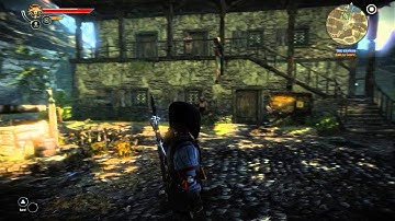 Texture Load-In - The Witcher 2 (PC)
