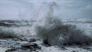 Shadow Falls - Jim Wilson (Remembrance)