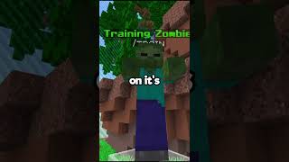A Practice Server For Everyone To Pvp Minecraft