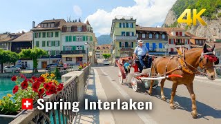 Interlaken Spring  Switzerland, the magnificent blooms of spring, the city between two lakes