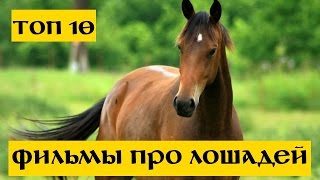 10 Лучших фильмов про лошадей