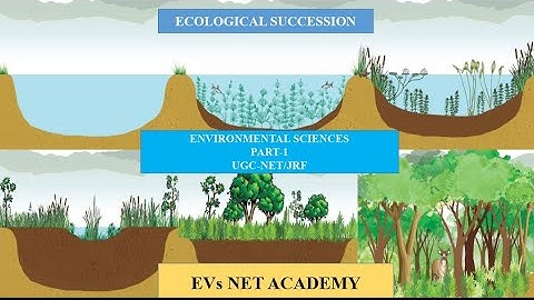 Ecological succession @evsnetacademy16 #ugc #net #evs #environmental #ugcnetpaper1 #science