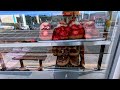 DONUTMAN ROUTE 66 GLENDORA CALIFORNIA