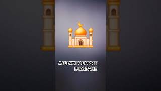 АЛЛАХ ГОВОРИТ В КОРАНЕ