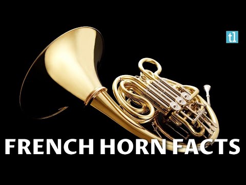 वीडियो: इसे फ्रेंच हॉर्न क्यों कहा जाता है?