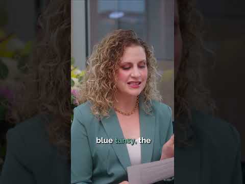 What is in doTERRA's Balance Essential Oil Blend? #doterra #essentialoils #balanceessentialoil