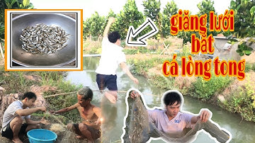 Giăng Lưới Bắt Cá Lòng Tong Tại Miền Tây [ 6 phút dính đầy cả lưới ] Hoài Linh Vlog