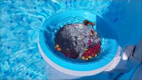 Real Life Review: Intex above ground pool skimmer review
