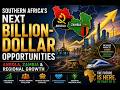 Southern Africa's Next Billion Dollar Opportunities Angola, Zambia & Regional Growth 1080p caption