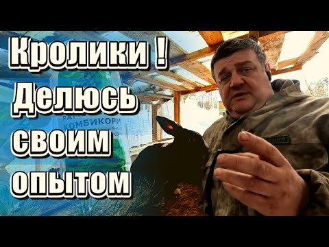 Бизнес на кроликах. РЕНТАБЕЛЬНОСТЬ.