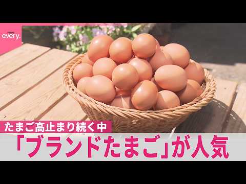 【たまご】高止まり続く中…一般たまごと“価格差”縮まり「ブランドたまご」が人気