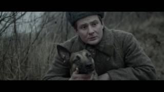 Руслан Алехно СПАСИБО (OST "ПЁС РЫЖИЙ") Руслан Алехно СПАСИБО (OST "ПЁС РЫЖИЙ")