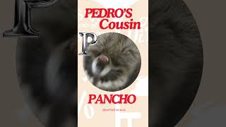 #pedro #pancho #pedroscousin #funny #shorts  #trendingshorts  #youtubeshorts #viral #subscribe
