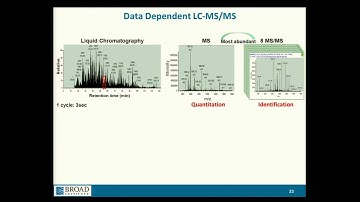 BroadE: Interpretation and automated analysis of proteomic data